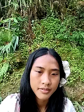 Hoa-tuylip webcam