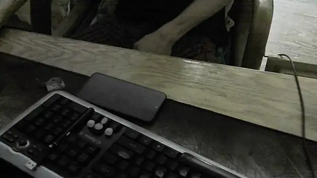 FiSTALiTY webcam
