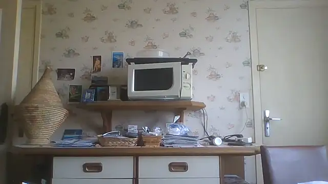 gegevincent5 webcam