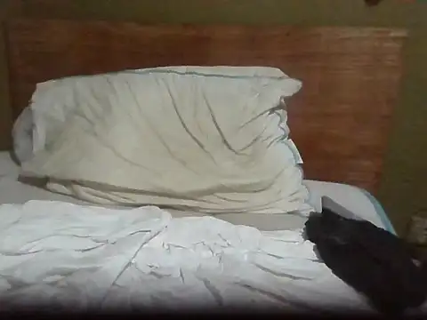 AnmL73012 webcam