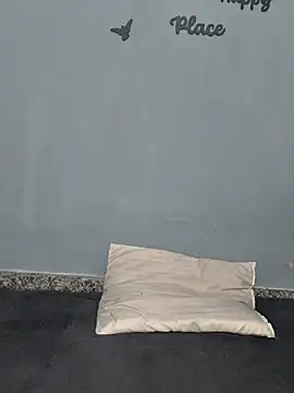 Pari8822 webcam