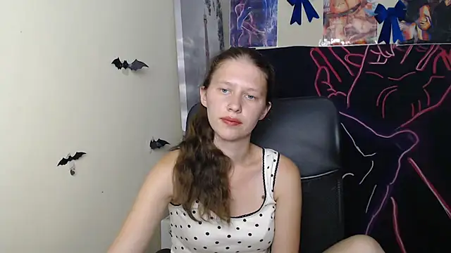 StellaCRL webcam