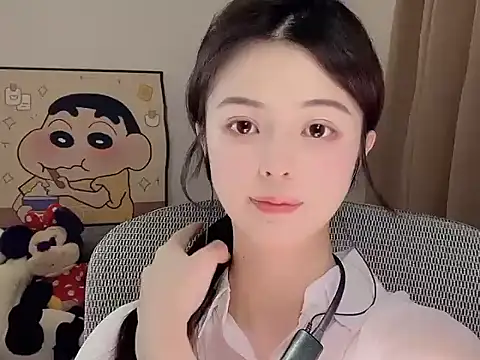 Dodo-13 webcam