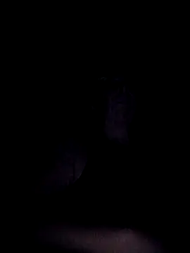 Celine_Faer1 webcam