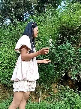 Hoa-tuylip