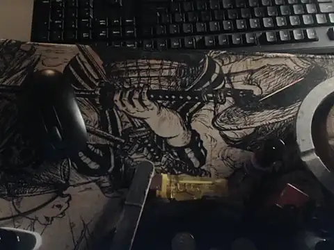 Lhovely webcam
