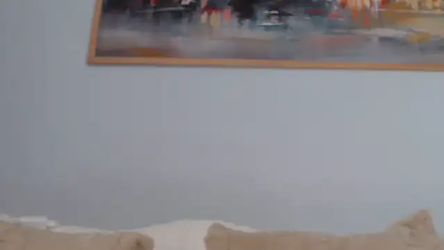 cleophee webcam