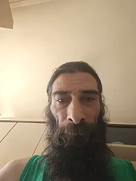 vulpe8400 webcam