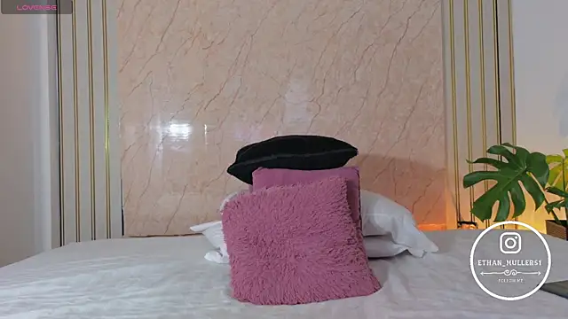 Ethan_mullers webcam