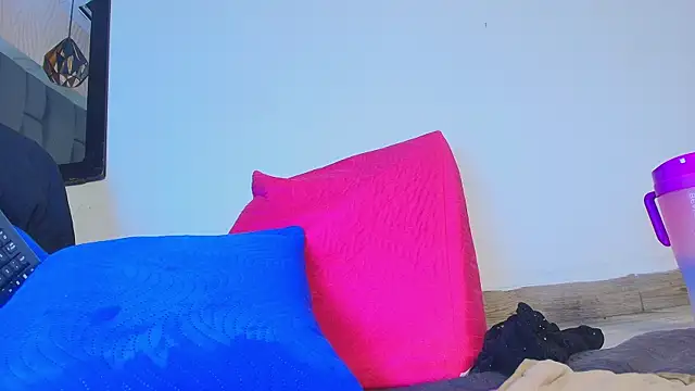 mss_mar webcam