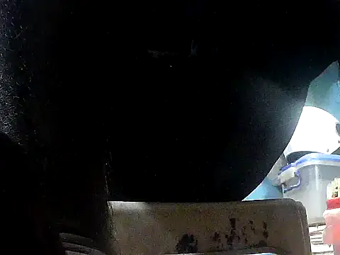 Precumking1 webcam