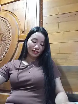 Td3di webcam