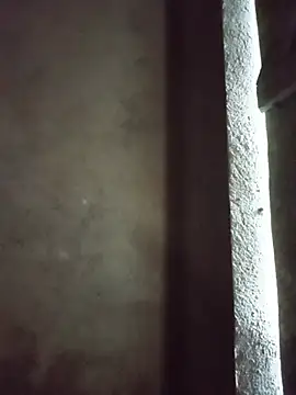 Tieuvy122 webcam