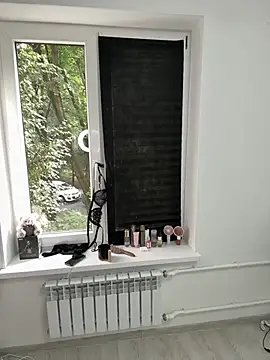 ForDearse webcam