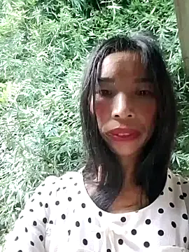 Tho-bibi webcam