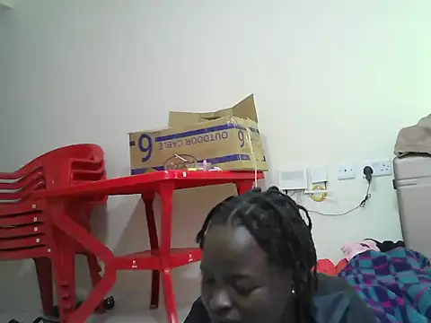 Paseski webcam