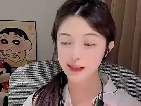 Dodo-13 webcam