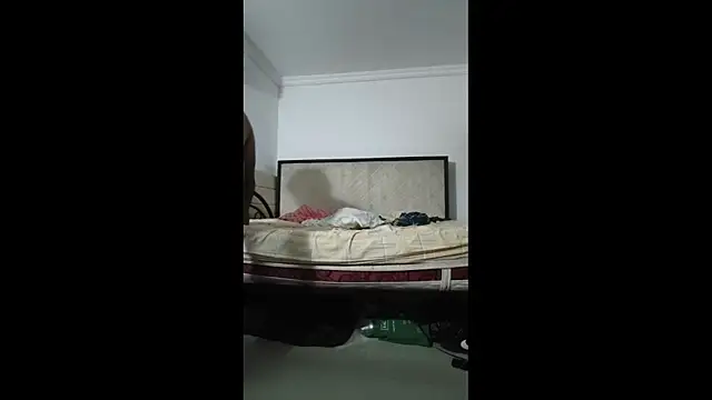 sky_dancers webcam