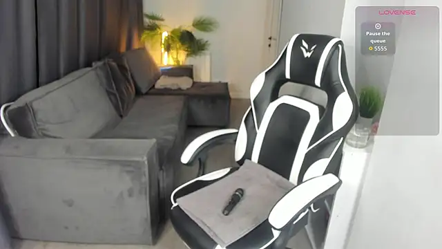 Dixon_Ross webcam