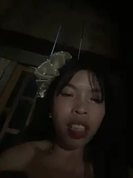 Hikomy- webcam