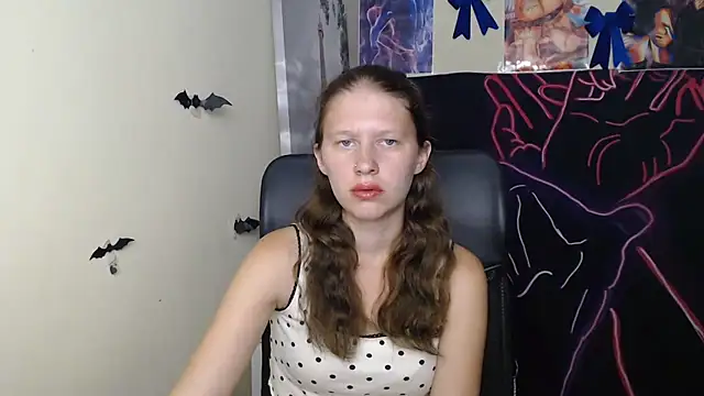StellaCRL webcam