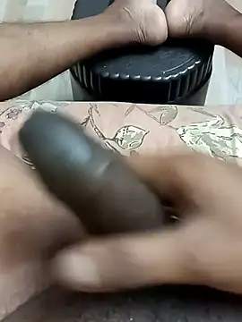 Indianshine webcam