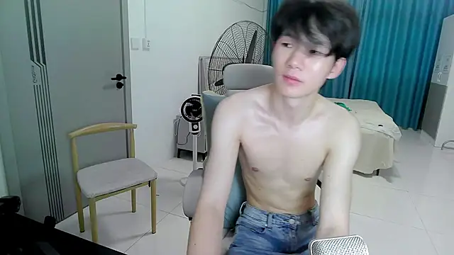 KPL-11 webcam