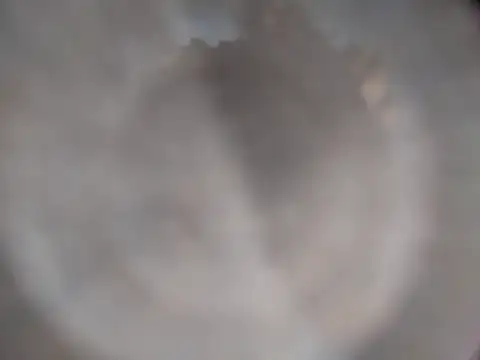 XanderOzzz webcam