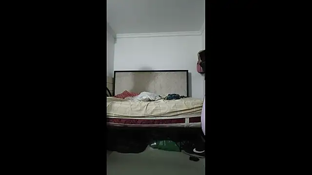 sky_dancers webcam