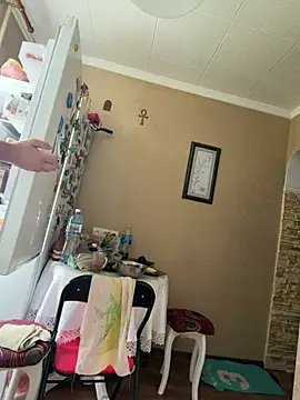 Frosl webcam