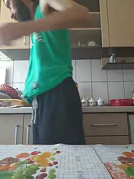 vulpe8400 webcam