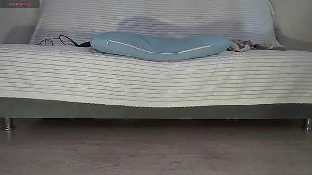 Fecvht45 webcam