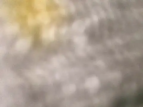 harburger40 webcam