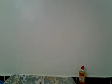 Calmfolower webcam