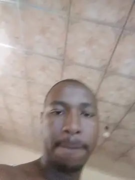 bandile3d webcam