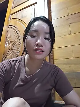 Td3di webcam