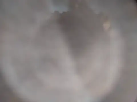 XanderOzzz webcam