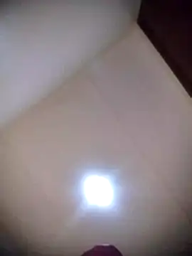 Dirtybrown2 webcam
