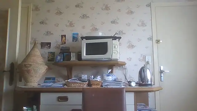 gegevincent5 webcam