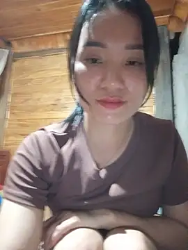 Td3di webcam