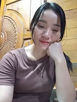 Td3di webcam