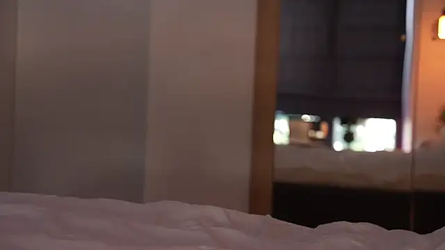 ibiddi webcam