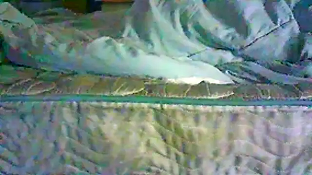 CR3M3_FIR3 webcam