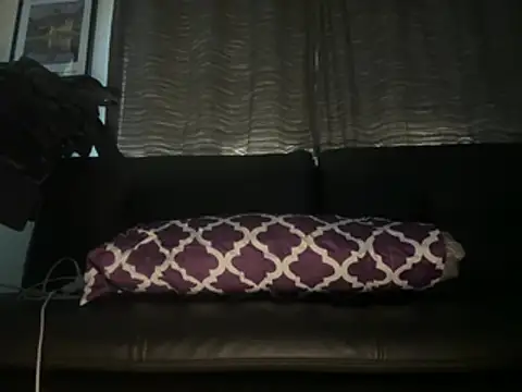 FLAcloudydick webcam