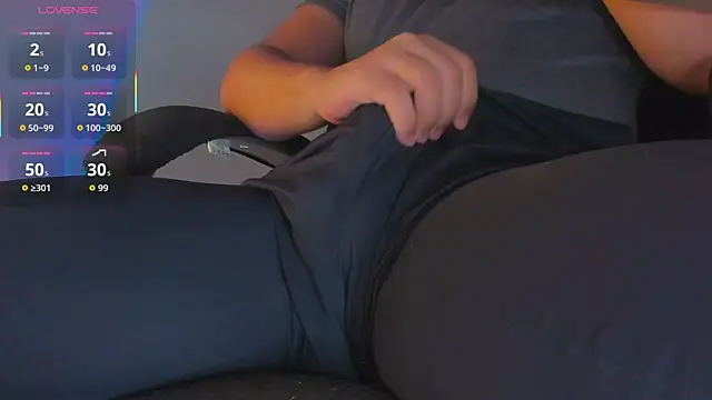 BulgeArt webcam