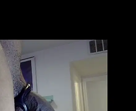 TheRealMrDLlong webcam