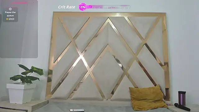 mitch_asm webcam