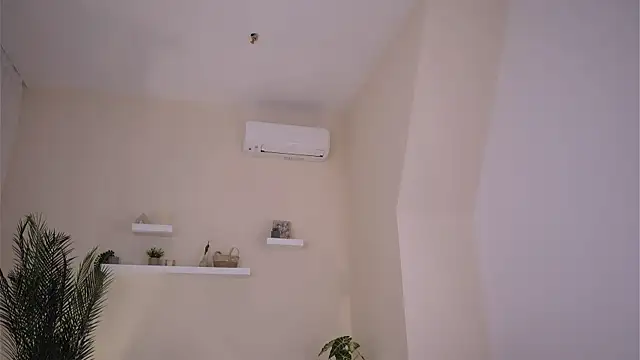 DemiBlush webcam