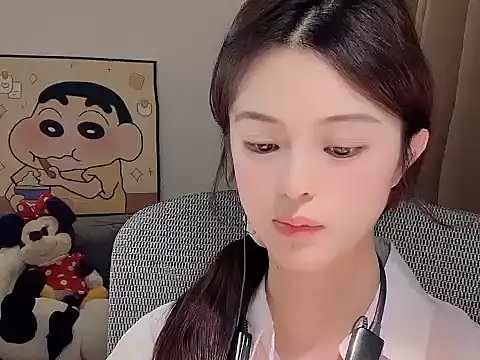Dodo-13 webcam