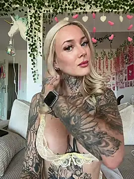 Stella-Kink webcam